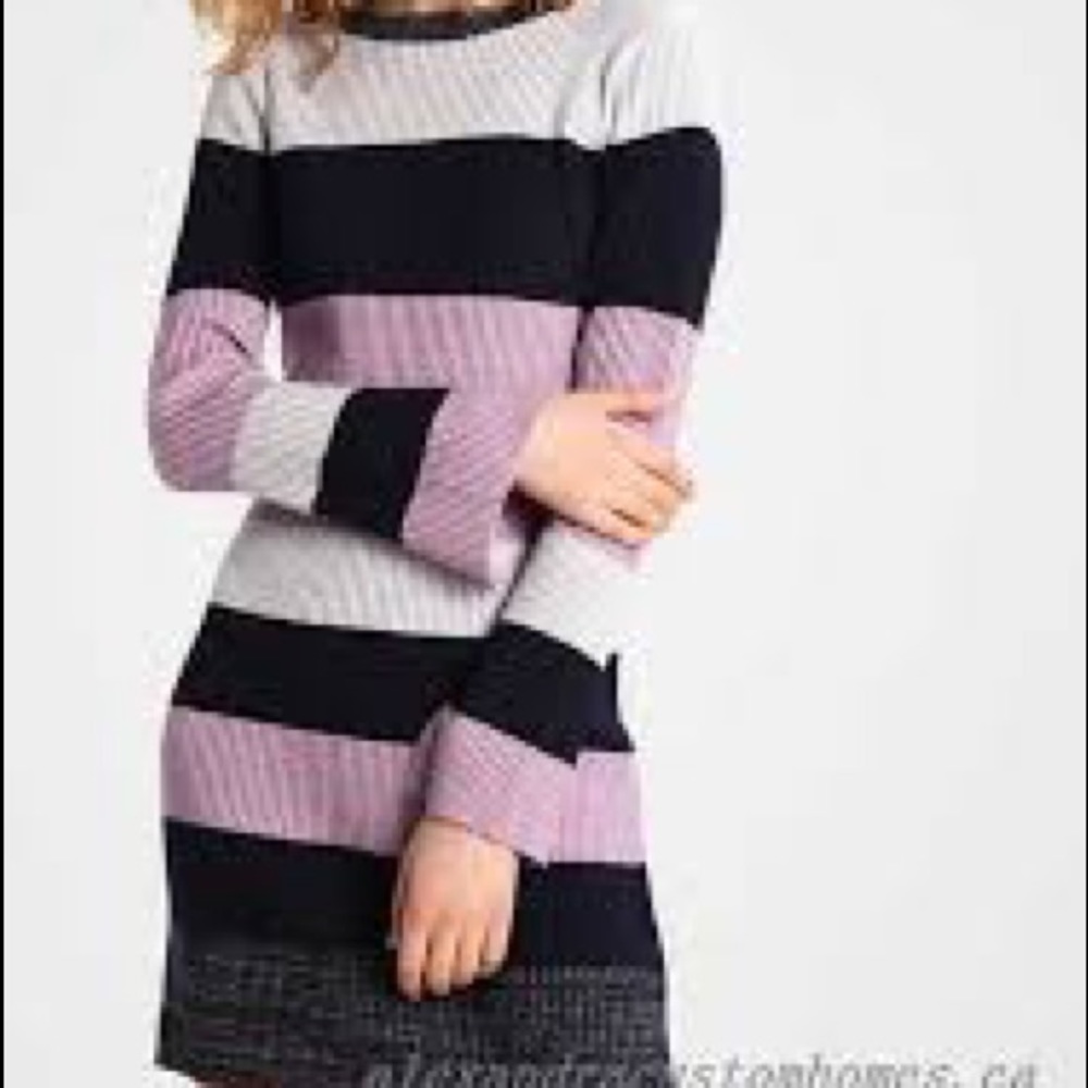 Club Monaco purple stripe dress small